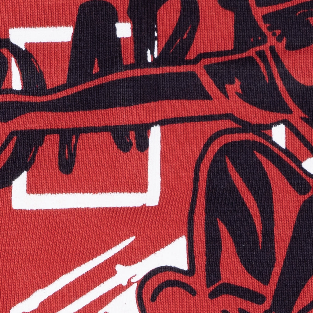 Boys Graphic T-Shirt Short set- Skate Red