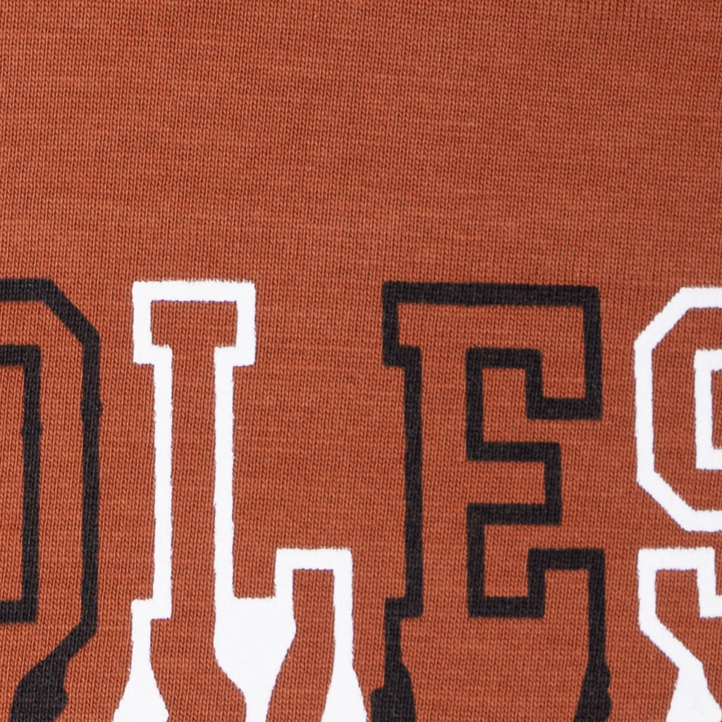 Boys Graphic T-Shirt Short set- Rust