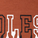 Boys Graphic T-Shirt Short set- Rust