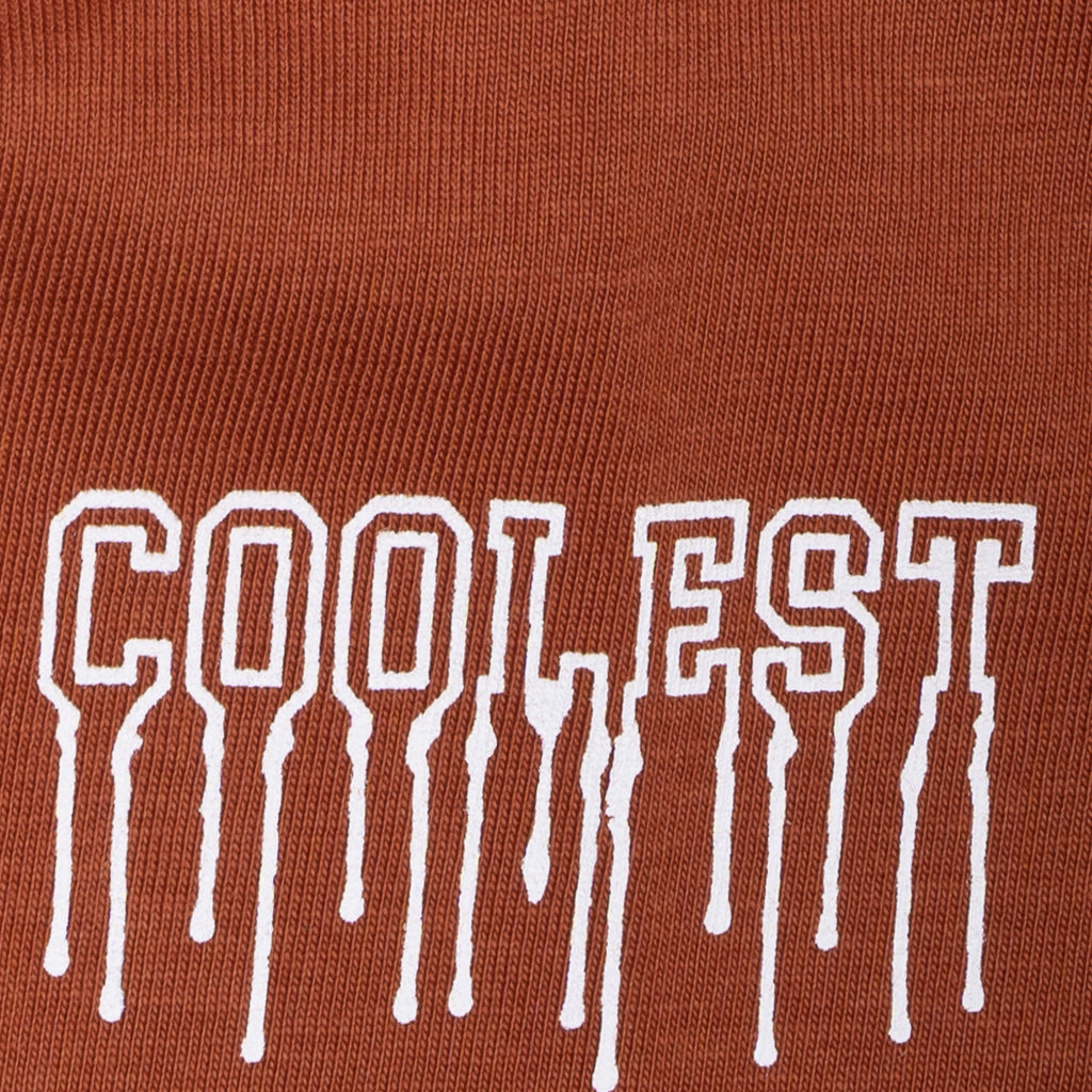 Boys Graphic T-Shirt Short set- Rust