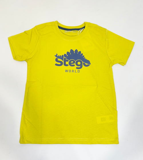 Boys Graphic Tshirt- Stego