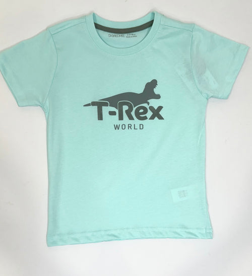 Boys Graphic Tshirt- Trex