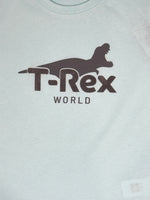 Boys Graphic Tshirt- Trex