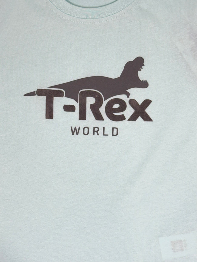Boys Graphic Tshirt- Trex